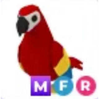 MFR parrot 