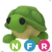 TURTLE  NFR