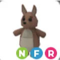 KANGAROO NFR