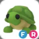 TURTLE FR