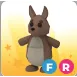 KANGAROO FR 