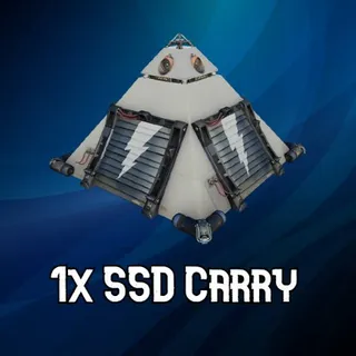 1x SSD Carry