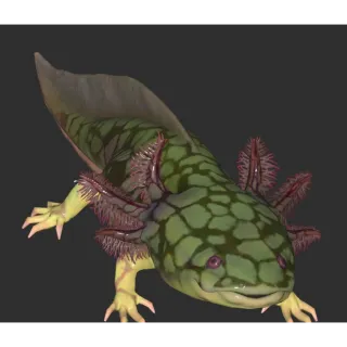 10 scaled axolotl 