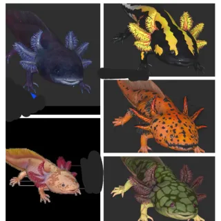 Axolotl bundle