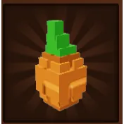 8x Atlantic giant pumpkin seed