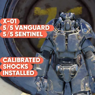 X01 VANGUARD