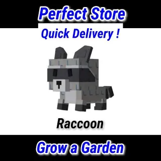 Grow a Garden 2 | Raccoon