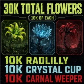 30k big bloom flowers