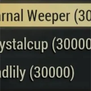 90k big bloom flowers