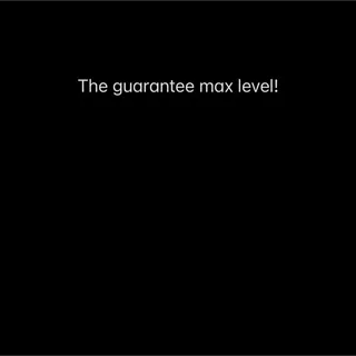 The guarantee