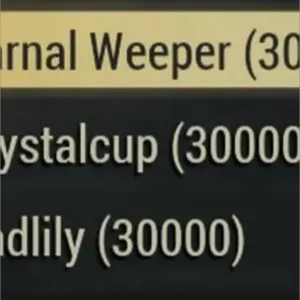 90k big bloom flowers