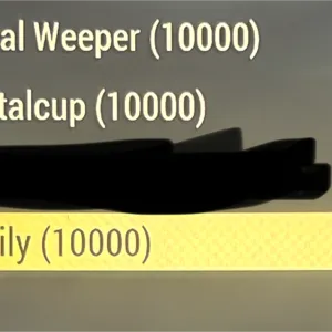 30k big bloom flowers