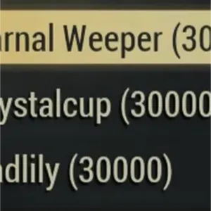 90k big bloom flowers