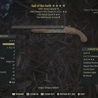 Salt of the earth