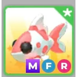 MFR Koi