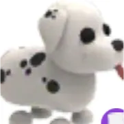 x4 Dalmatians