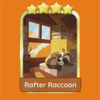 Rafter Raccoon