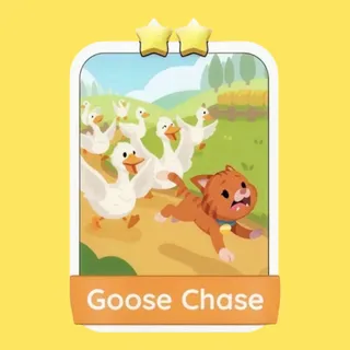 Goose Chase