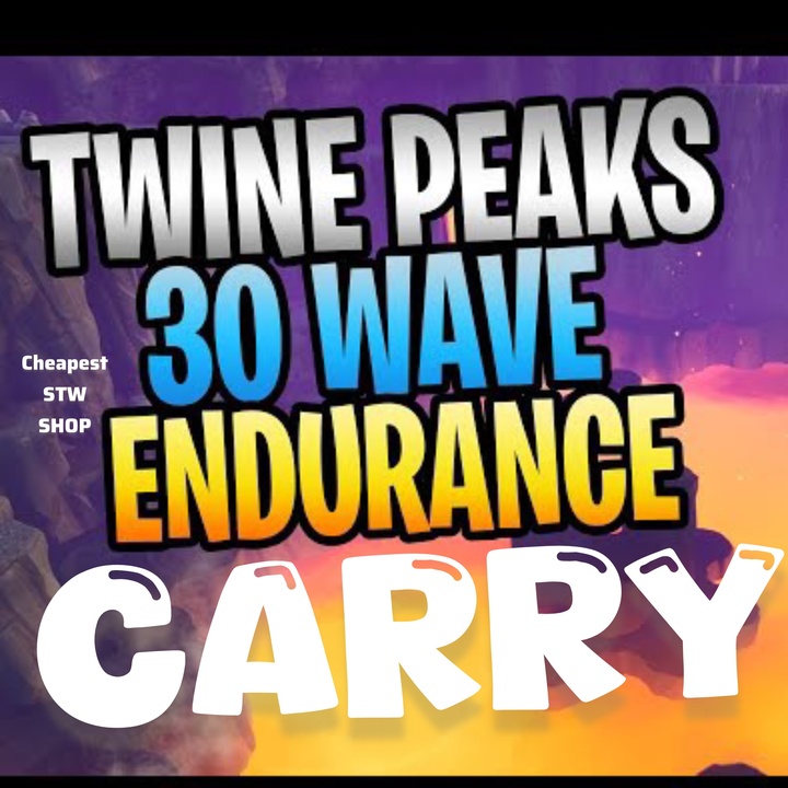 Twine Endurance Carry Fortnite Game Items Gameflip