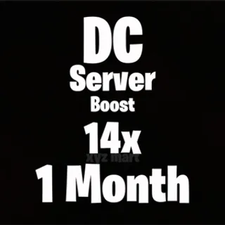 Discord Server Boost
