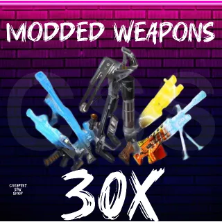 30x Modded Weapons