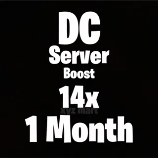 Discord Server Boost