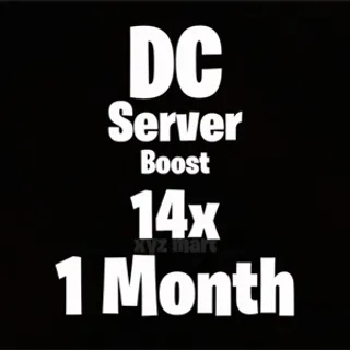 Discord Server Boost