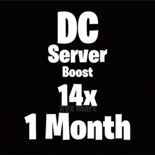 Discord Server Boost