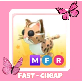 MFR Leopard Cat