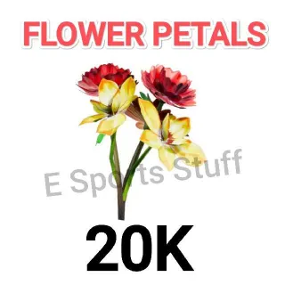 20K FLOWER PETALS