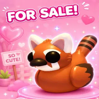 1 Red Panda Duck.