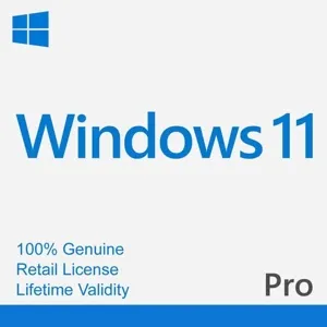 Windows 11 Pro 