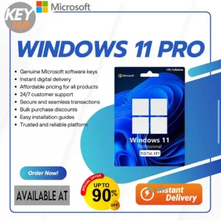 Windows 11 pro