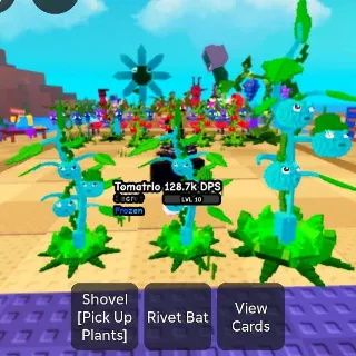 PvB < Frozen Tomatrio (BUNDLE 3X)