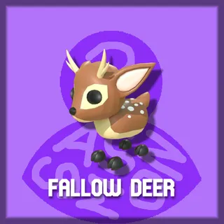 Fallow Deer