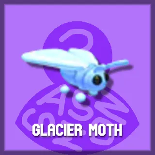 Glacier Moth