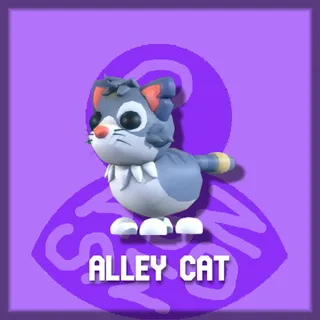 Alley Cat