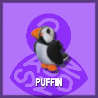 Puffin