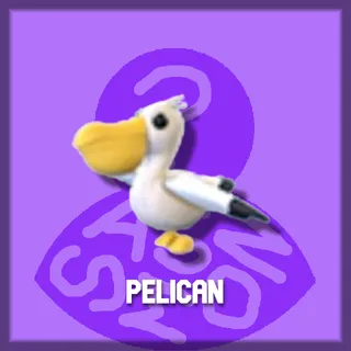 Pelican