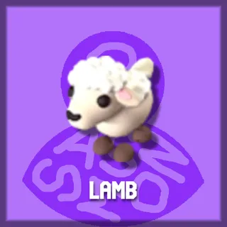 Lamb