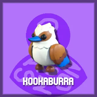 Kookaburra