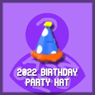 2022 Birthday Party Hat