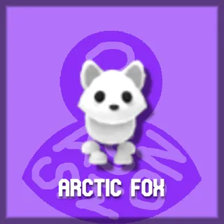 Arctic Fox