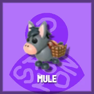 Mule