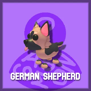 German Shepherd