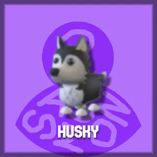 Husky