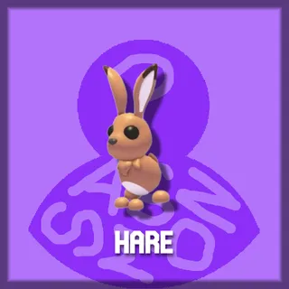 Hare