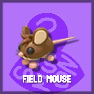 Field Mouse