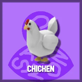 Chicken