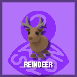 Reindeer